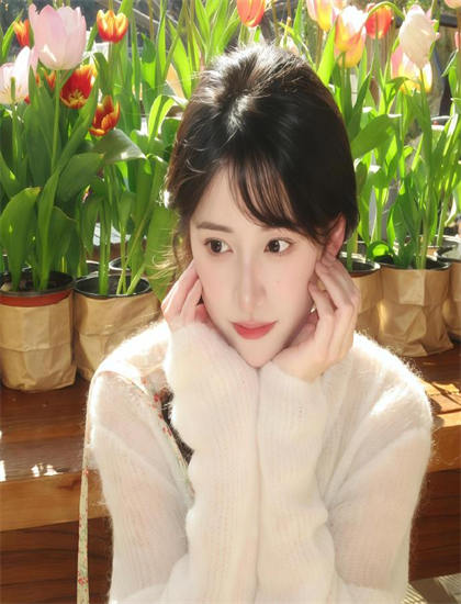 如何欣赏《毛驴县令之歪打正着》？欣赏指南教你欣赏技术成就与创新突破 增强情感共鸣